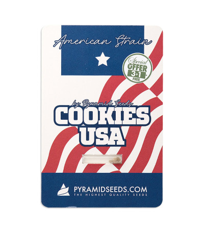 Семена сорта Cookies USA fem (Pyramid Seeds)