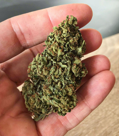 Семена сорта Underdawg Kush fem