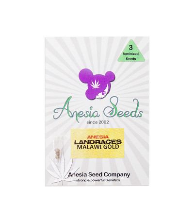 Семена сорта Malawi Gold fem (Anesia Seeds)