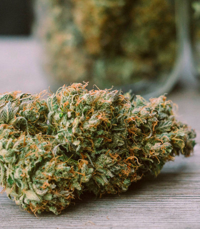 Семена сорта LSD Auto fem (Barney's Farm)