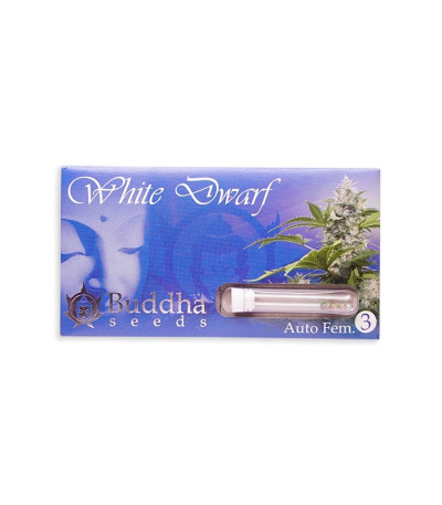 Семена сорта Buddha White Dwarf auto fem