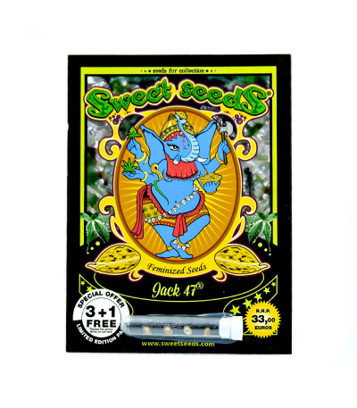 Семена сорта Jack 47 fem (Sweet Seeds)