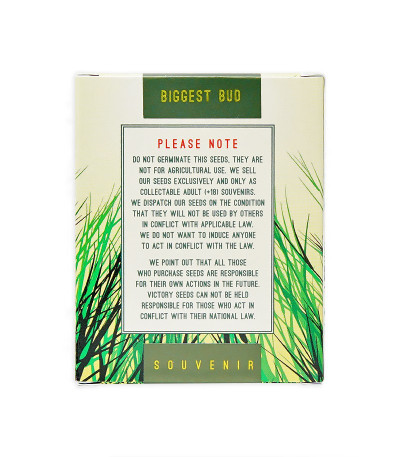 Семена сорта Biggest Bud fem (Victory Seeds)