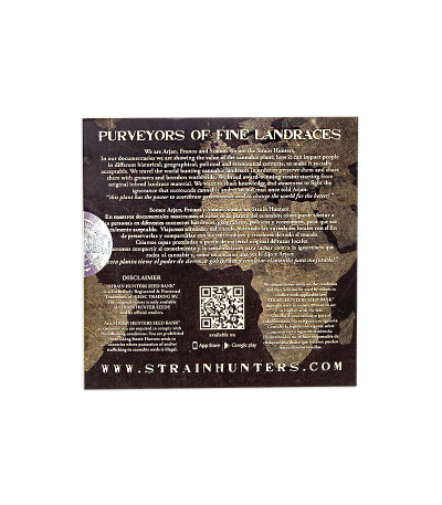 Семена сорта Flowerbomb Kush fem (Strain Hunters)