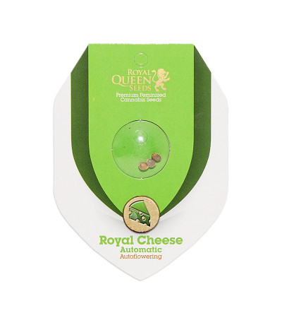 Семена сорта Royal Cheese Automatic fem (Russian Queen Seeds)