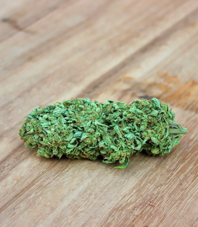 Семена сорта Berries & Cheese fem (Sumo Seeds)