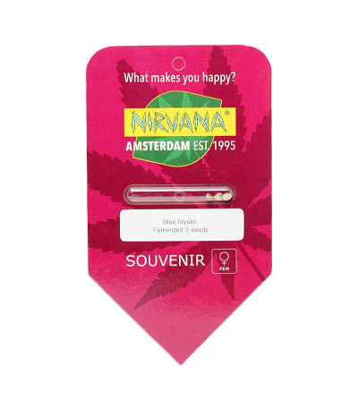 Семена сорта Blue Mystic fem (Nirvana Seeds)