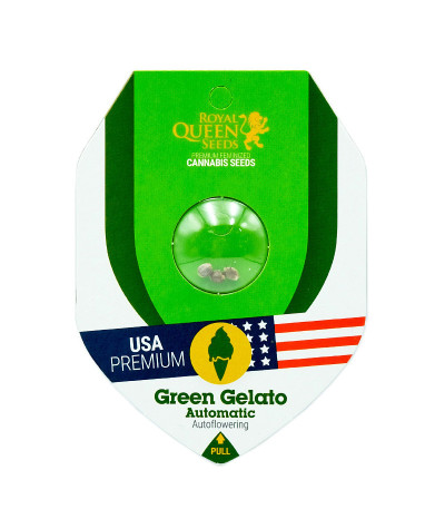 Сорт конопли Green Gelato Automatic fem (RQS)