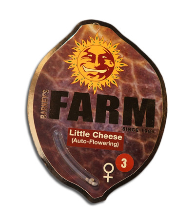 Семена сорта Little Cheese Auto fem