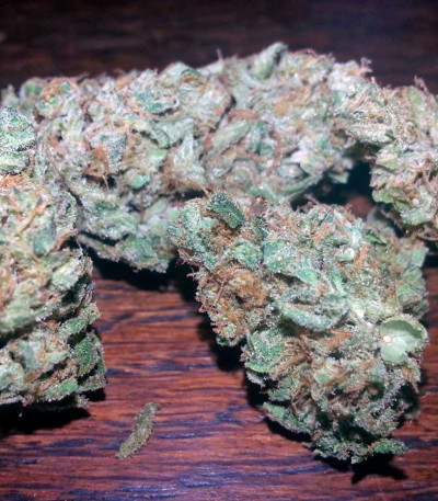 Семена конопли Dark Delight