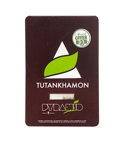 Семена сорта Tutankhamon fem (Pyramid Seeds)