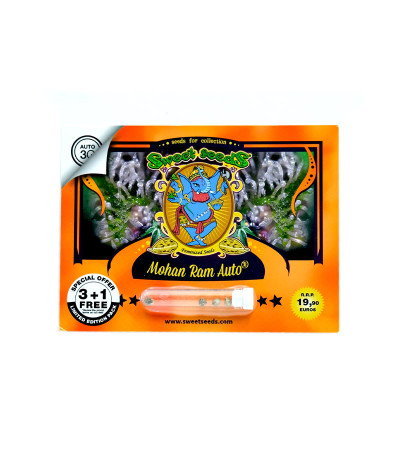 Семена сорта Mohan Ram Auto fem (Sweet Seeds)