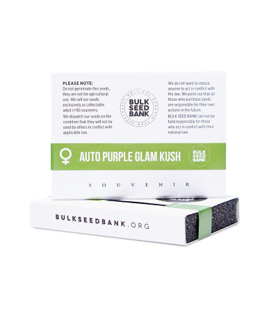 Семена сорта Auto Purple Glam Kush fem