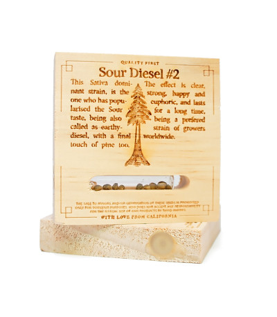 Семена Sour Diesel 2 reg от Humboldt seeds