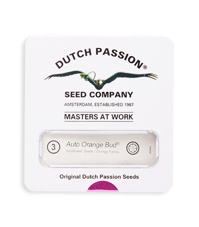Семена сорта Auto Orange Bud fem (Dutch Passion)