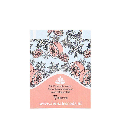 Семена марихуаны ICED Grapefruit в оригинальной упаковке