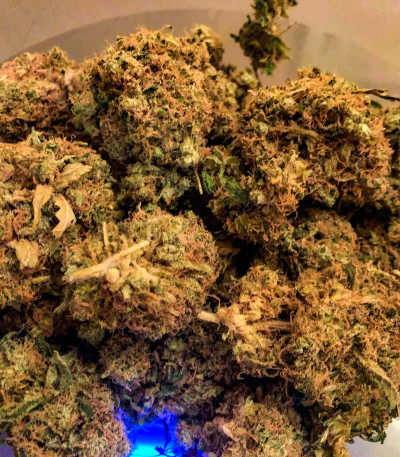 Семена сорта Cafe Racer (Blimburn Seeds)