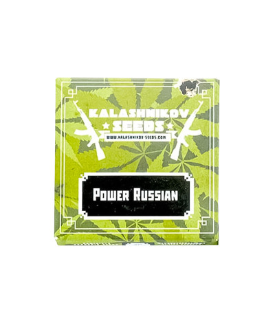 Семена сорта Power Russian fem (Kalashnikov Seeds)