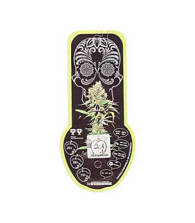 Семена сорта Excalibur fem