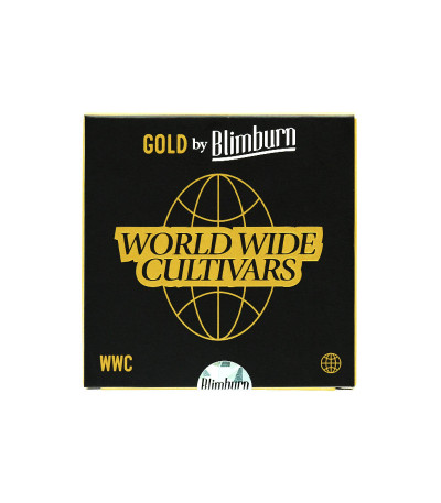 Семена сорта Future #1 fem (Blimburn Seeds)