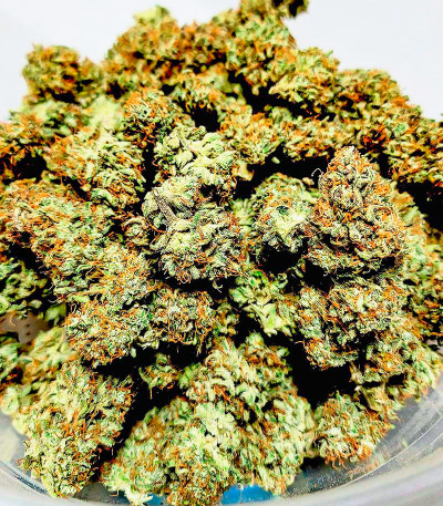 Семена сорта Wedding Cake fem (Семяныч)