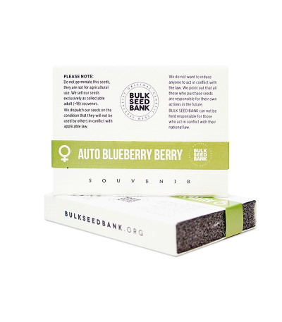 Семена сорта Auto Blueberry Berry fem