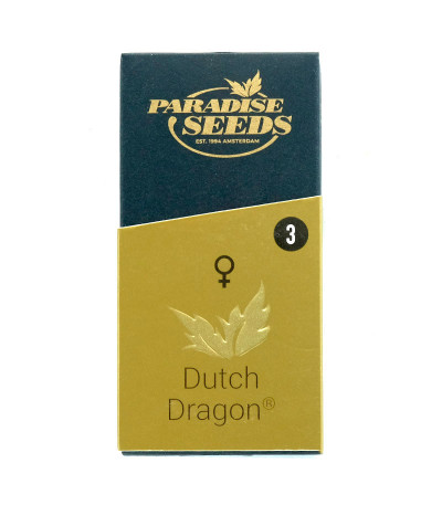 Семена сорта Dutch Dragon fem (Paradise Seeds)