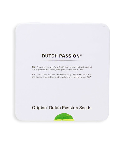 Семена сорта Orange Hill Special fem