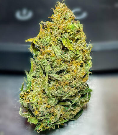 Семена сорта La Calma Autoflower fem (Easy Grow Seeds)