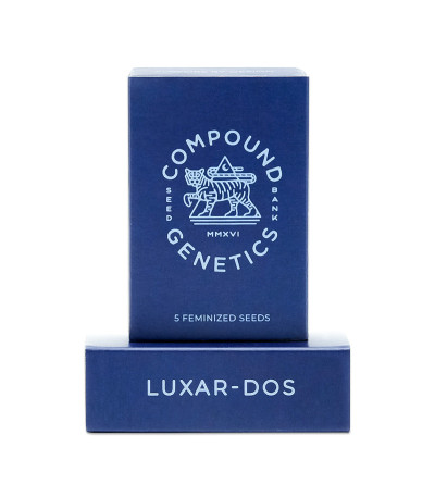 Семена сорта Luxar-Dos fem (Compound Genetics)