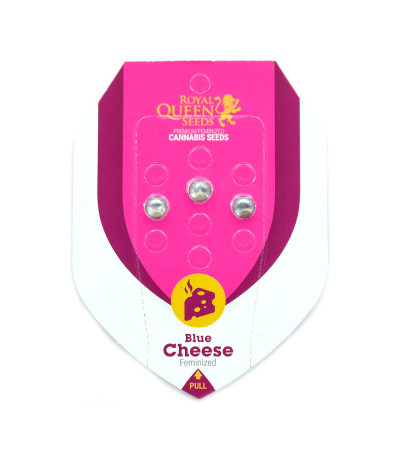 Семена сорта Blue Cheese fem (Royal Queen Seeds)