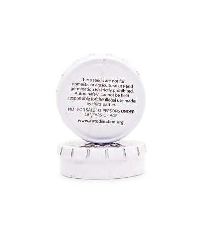 Семена сорта Original Amnesia Autoflowering fem (Dinafem Seeds)