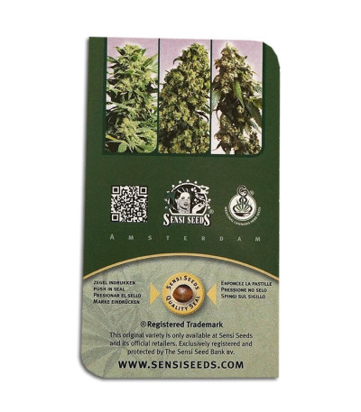 Семена сорта Jack Flash #5 fem (Sensi Seeds)