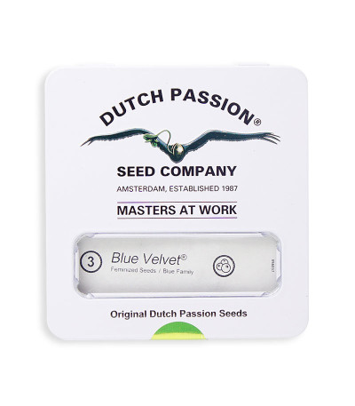 Семена каннабиса Blue Velvet в оригинальной упаковке