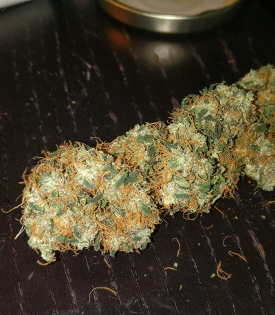 Семена сорта Auto Daiquiri Lime fem (Dutch Passion)