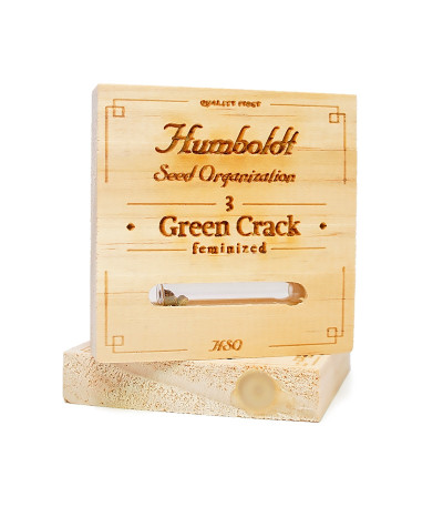 Семена сорта Lemon Garlic OG fem