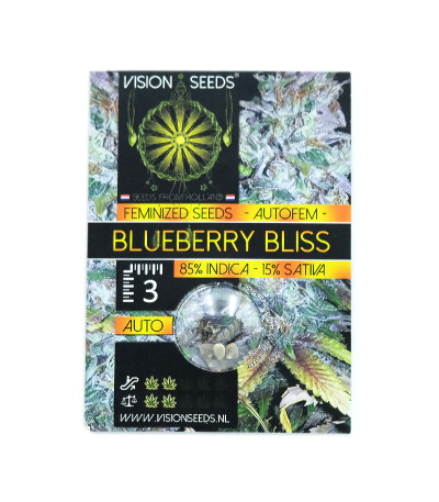 Семена сорта Blueberry Bliss Auto Fem (Vision Seeds)