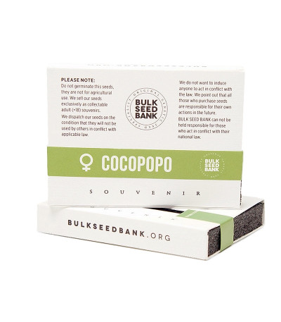 Семена сорта Cocopopo fem