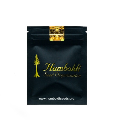 Семена сорта Banana Sapphire fem (Humboldt Seed Organization)