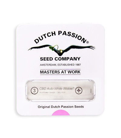 Семена сорта CBD Auto White Widow fem (Dutch Passion)