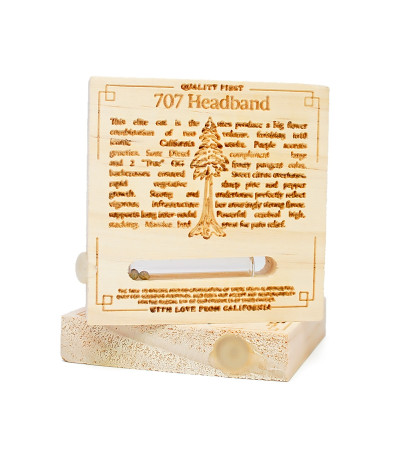 Семена сорта 707 Headband fem (Humboldt Seeds)