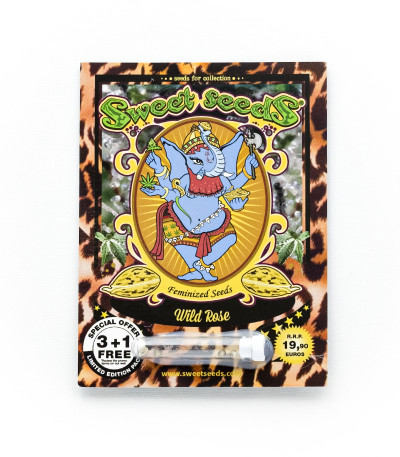 Семена сорта Wild Rose fem (Sweet Seeds)