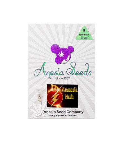 Amnesia Flash fem Anesia Seeds