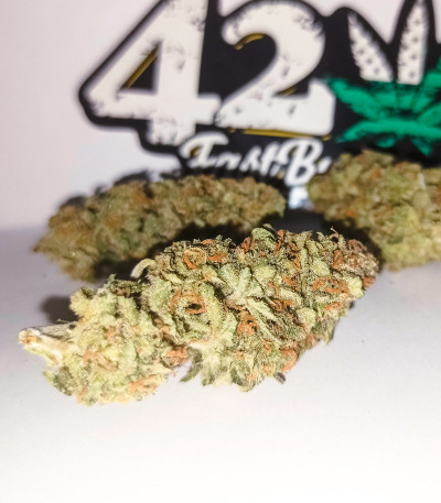 Семена сорта Forbidden Runtz Auto fem (FastBuds)