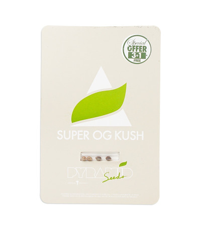 Семена сорта Super OG Kush fem (Pyramid Seeds)