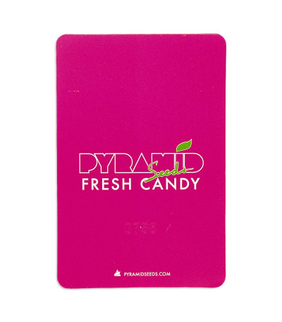 Семена сорта Fresh Candy fem (Pyramid Seeds)