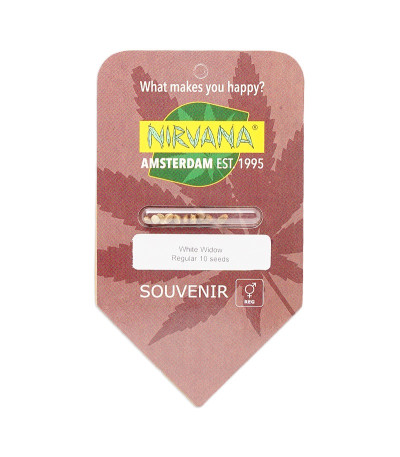 Семена сорта White Widow regular (Nirvana Seeds)