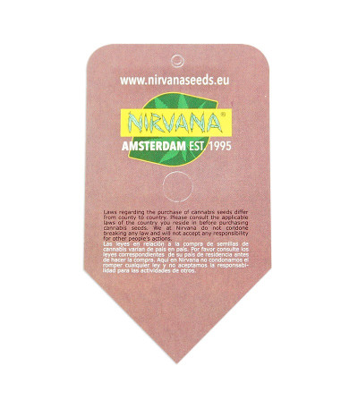 Семена сорта Raspberry Cough reg (Nirvana Seeds)