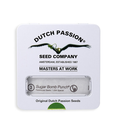 Семена сорта Sugar Bomb Punch fem (Dutch Passion)