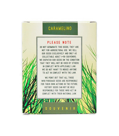 Семена сорта Caramelino fem (Victory Seeds)